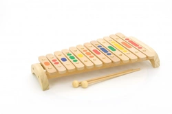 Деревянная развивающая игрушка Ксилофон 12 тонов